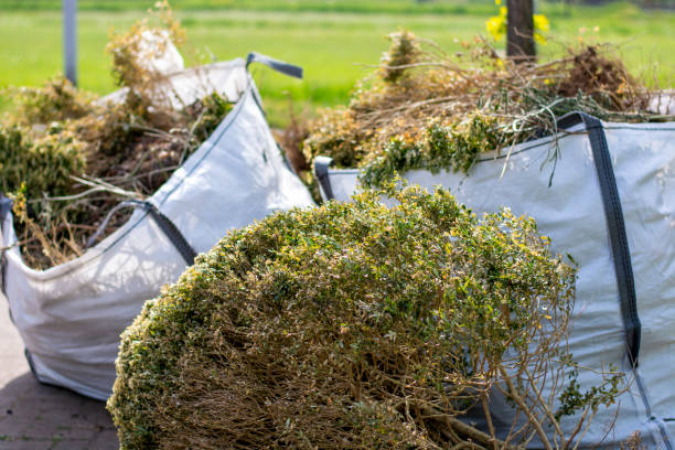 Best Electronics Removal Services  in Calumet Park, IL